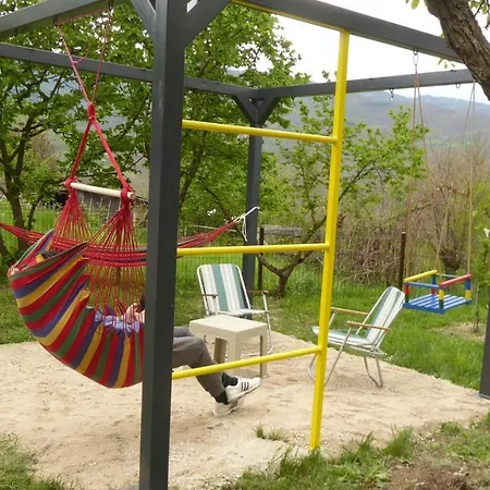 Guest house Guest House Pribojska Banja