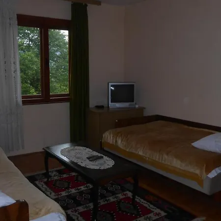 Guest House Pribojska Banja Guest house 3*
