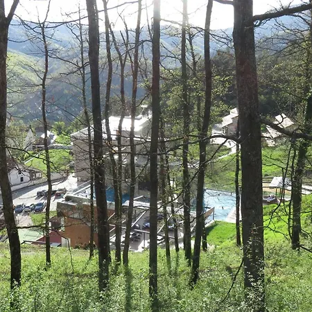 Guest House Pribojska Banja 3*