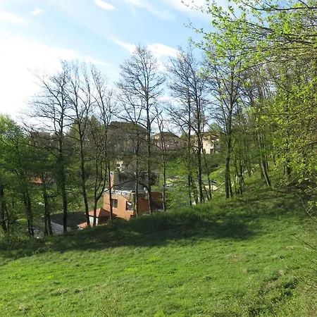 Guest House Pribojska Banja