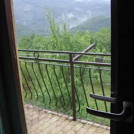 Guest House Pribojska Banja Pribojska Banja