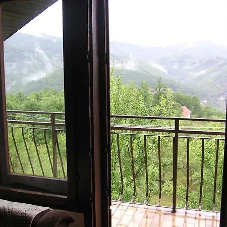 Guest house Guest House Pribojska Banja