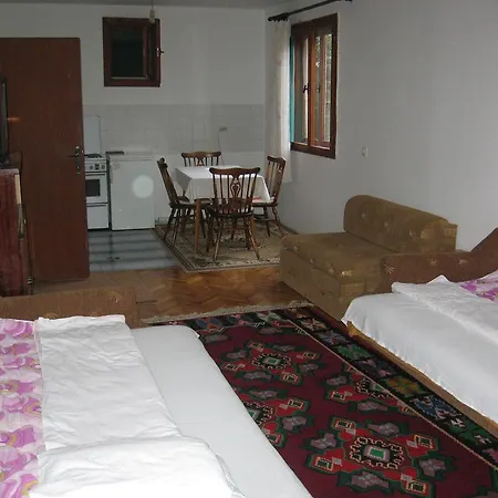 Guest House Pribojska Banja Pribojska Banja