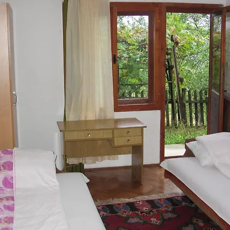 Guest house Guest House Pribojska Banja