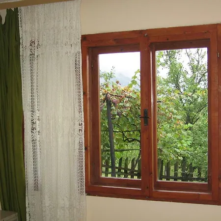 Guest house Guest House Pribojska Banja 3*