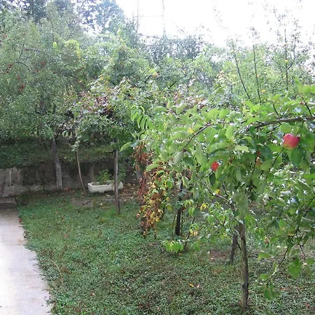 Guest house Guest House Pribojska Banja