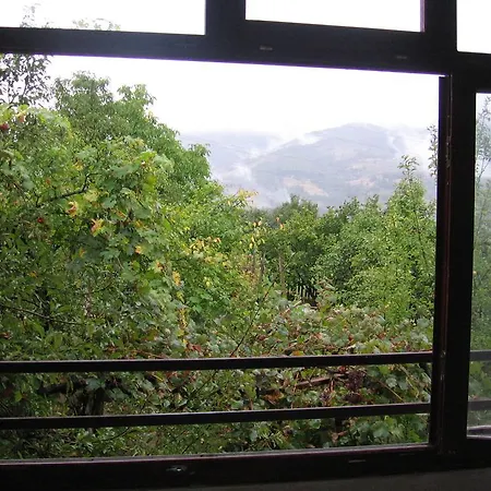 Affittacamere Guest House Pribojska Banja 3*