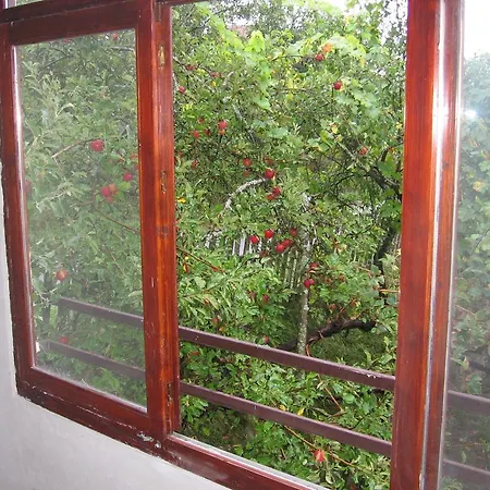 Guest House Pribojska Banja Pribojska Banja