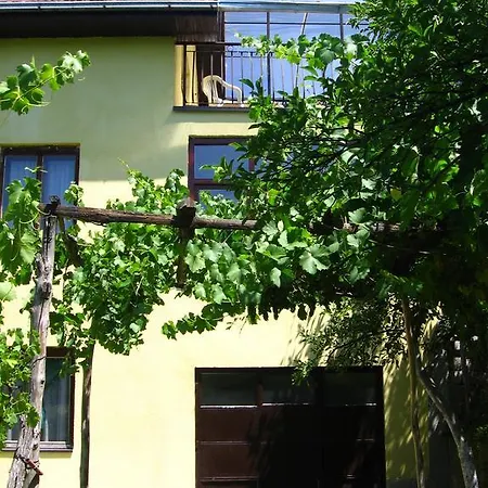 Guest house Guest House Pribojska Banja