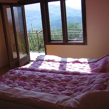 Guest House Pribojska Banja