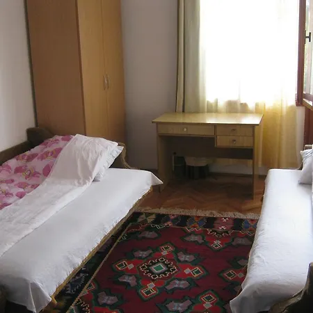 Guest House Pribojska Banja