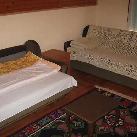 Guest House Pribojska Banja Pribojska Banja