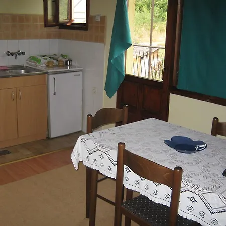 Affittacamere Guest House Pribojska Banja 3*