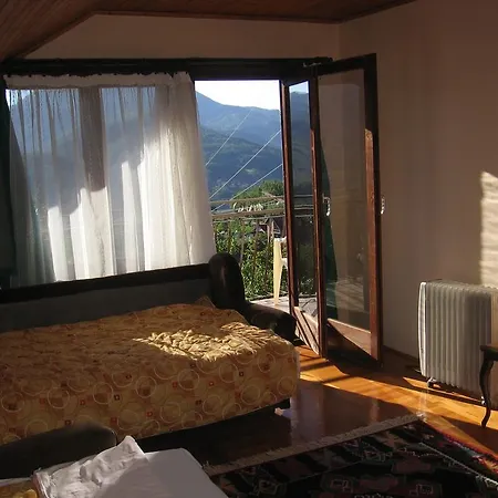 Guest house Guest House Pribojska Banja 3*