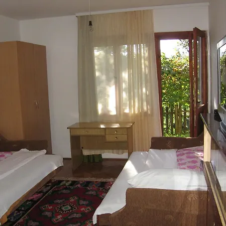 Guest house Guest House Pribojska Banja Pribojska Banja