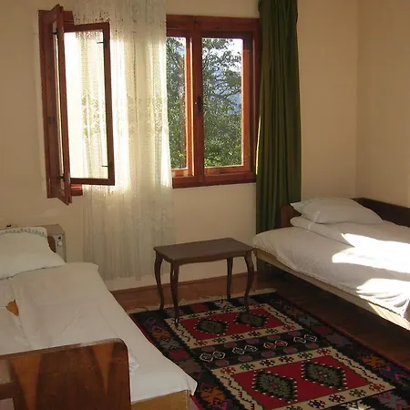 Guest house Guest House Pribojska Banja