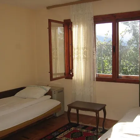 Guest House Pribojska Banja Guest house Pribojska Banja