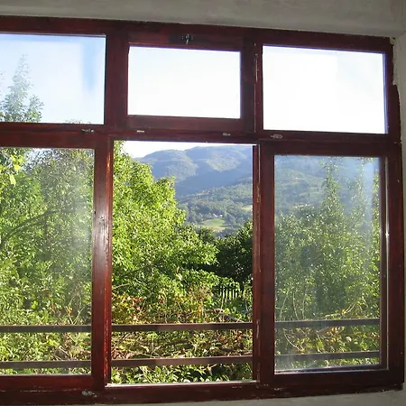 Guest House Pribojska Banja Affittacamere