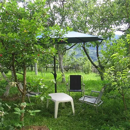 Guest House Pribojska Banja Guest house 3*