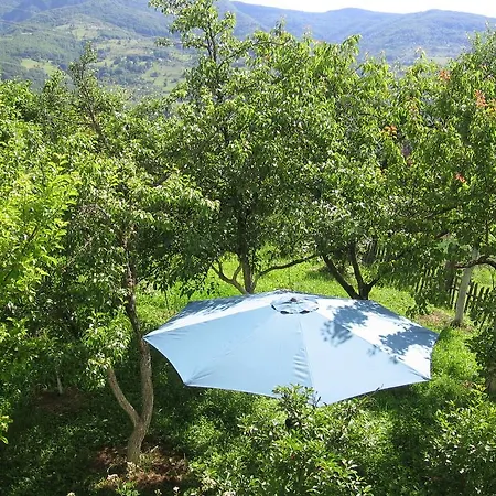 Guest House Pribojska Banja