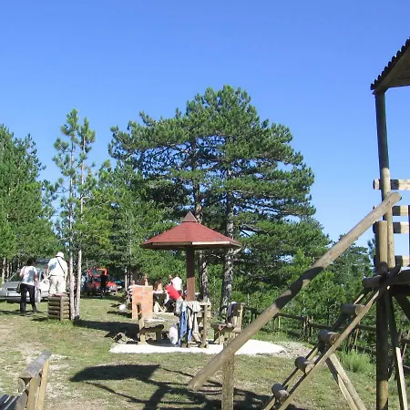 Guest House Pribojska Banja 3*