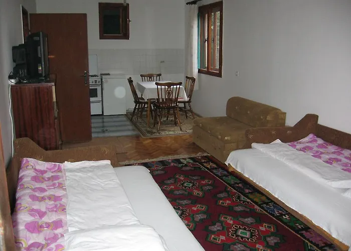 Guest House Pribojska Banja Pribojska Banja