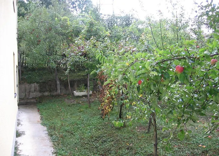 Guest house Guest House Pribojska Banja