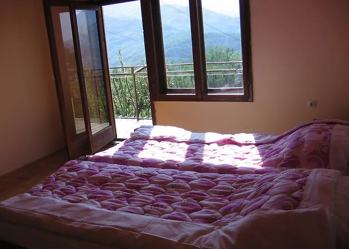 Guest House Pribojska Banja