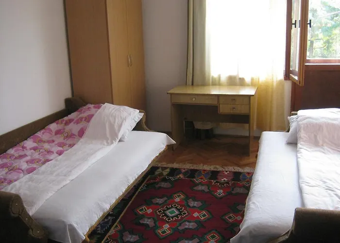 Guest House Pribojska Banja